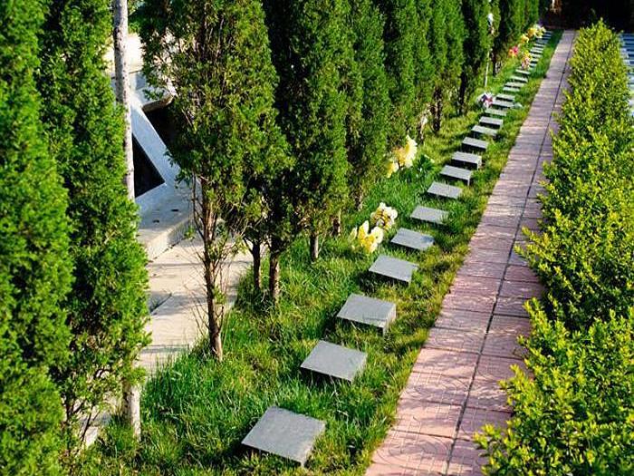 天津宠物墓地合法吗在哪里