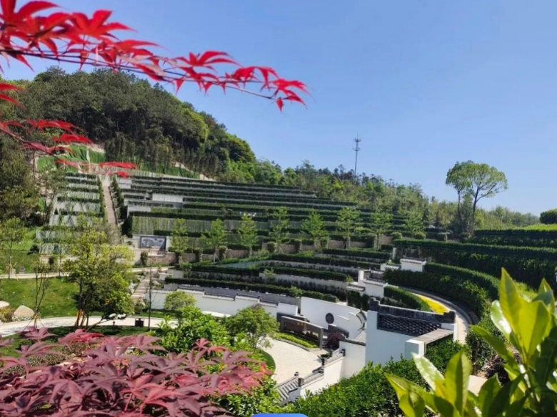 天津公墓搬迁补偿政策